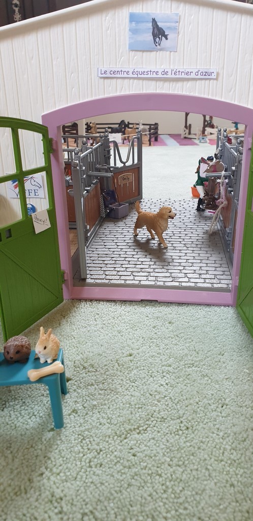 Le centre équestre