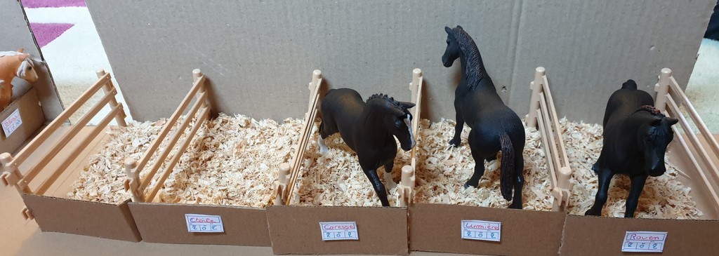 La grande écurie - vue de la partie dédiée aux chevaux du Club