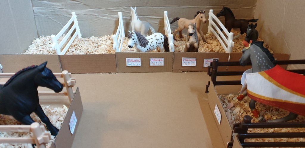 La grande écurie - vue de la partie dédiée aux poulains