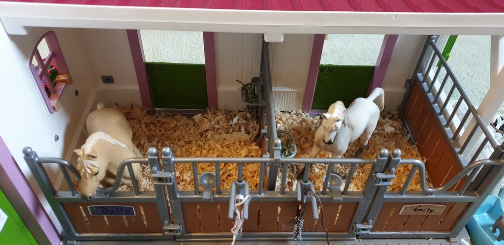 Le centre équestre avec des copeaux de bois 