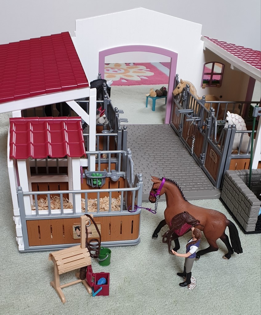 Le centre équestre et le box pour chevaux