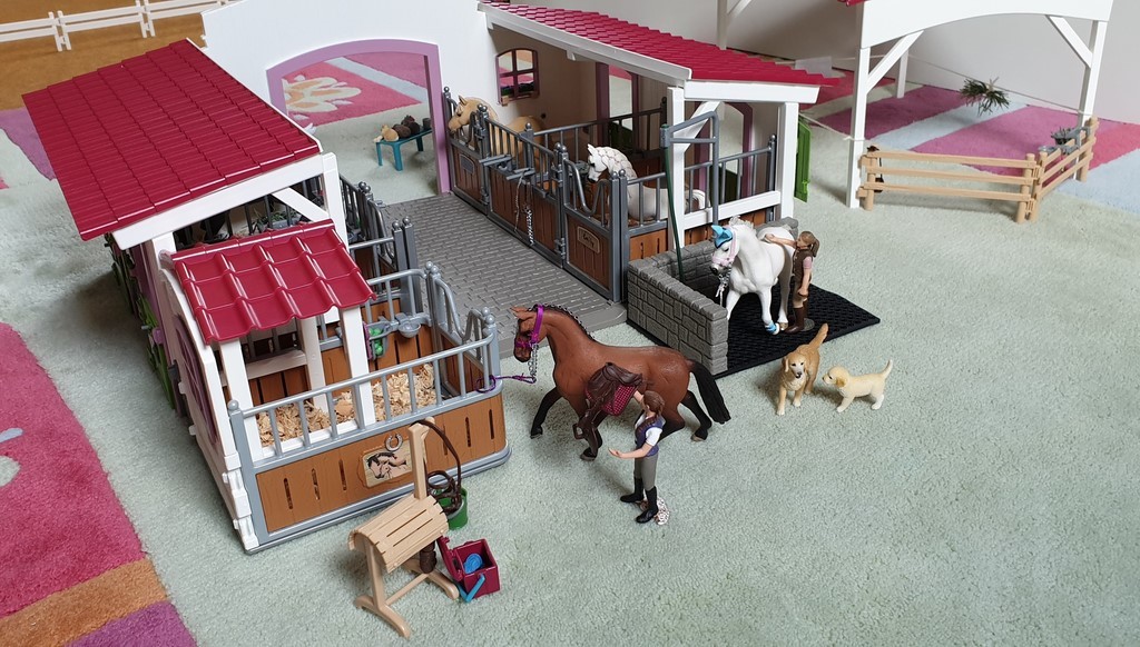 Le centre équestre et la station de lavage avec le box pour chevaux