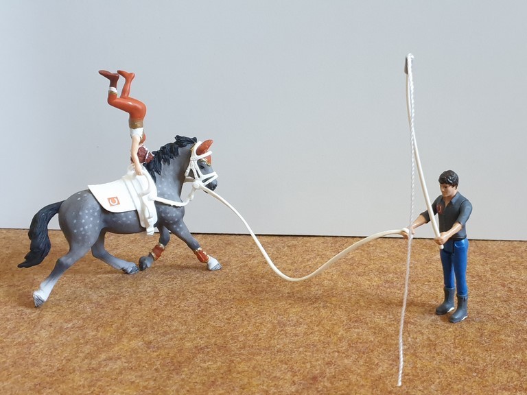 Le kit de voltige équestre