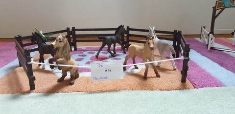 Mon pré des poulains