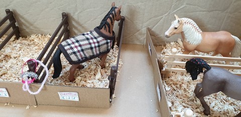 La grande écurie - deux nouvelles arrivées - Bienvenue à Jappeloup