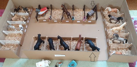 La grande écurie - deux nouvelles arrivées - Bienvenue à Jappeloup et à Lune