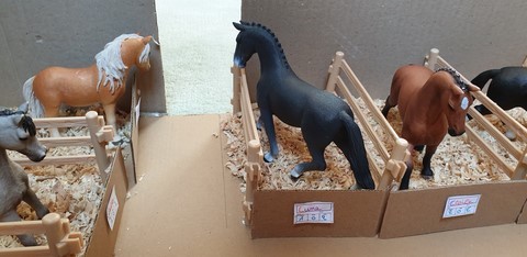 La grande écurie - deux nouvelles arrivées - Bienvenue à Lune