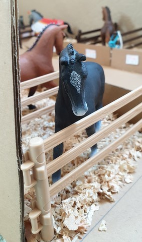 La grande écurie - deux nouvelles arrivées - Bienvenue à Lune