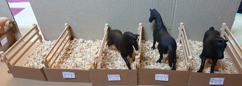 La grande écurie - vue de la partie dédiée aux chevaux du Club