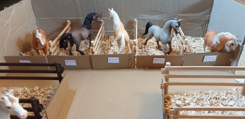 La grande écurie - vue de la partie dédiée aux poneys du Club