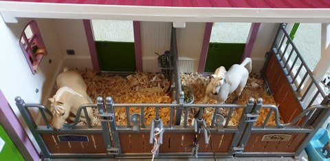 Le centre équestre avec des copeaux de bois 