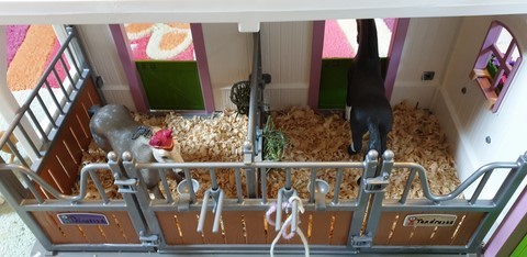 Le centre équestre avec des copeaux de bois 