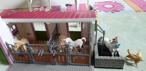 Le centre équestre et la station de lavage