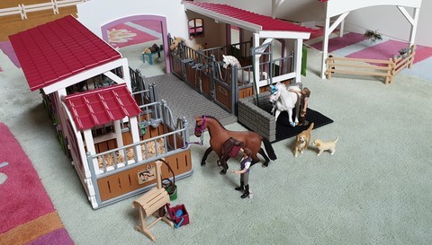 Le centre équestre et la station de lavage avec le box pour chevaux