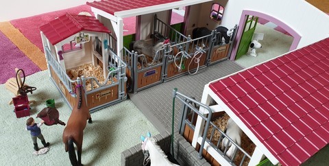 Le centre équestre et la station de lavage avec le box pour chevaux